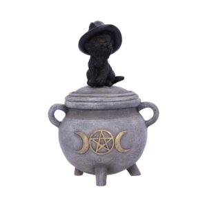 Kitty's Brew (Cauldron Box)