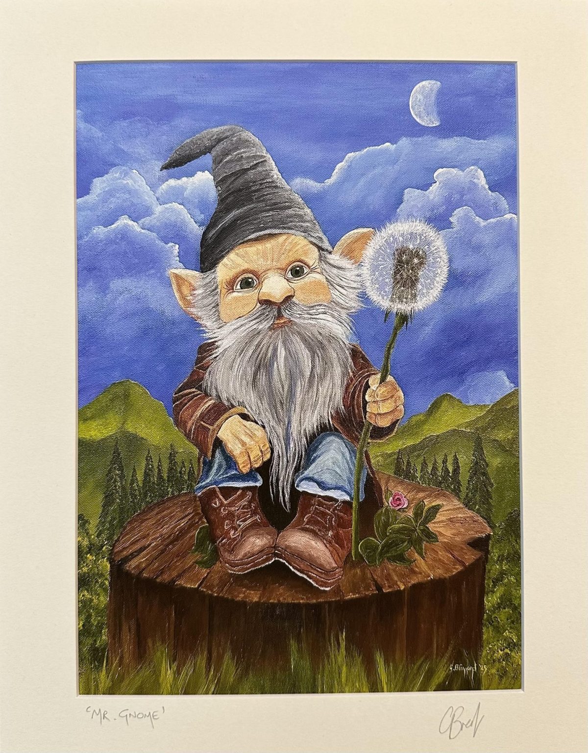 Mr. Gnome