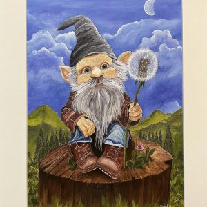 Mr. Gnome